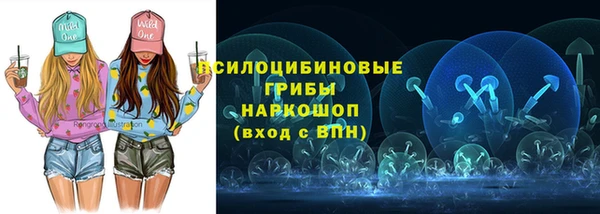 прущий лед Касимов