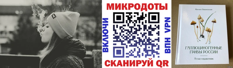 блэк спрут вход  Полярные Зори  Галлюциногенные грибы Cubensis 