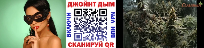 купить наркоту  Полярные Зори  mega сайт  Марихуана OG Kush 